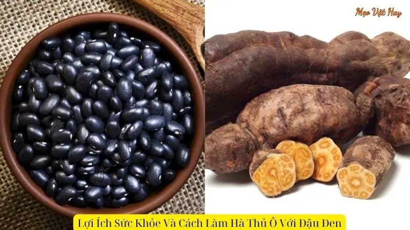 Lợi Ích Sức Khỏe Của Hà Thủ Ô Và Đậu Đen