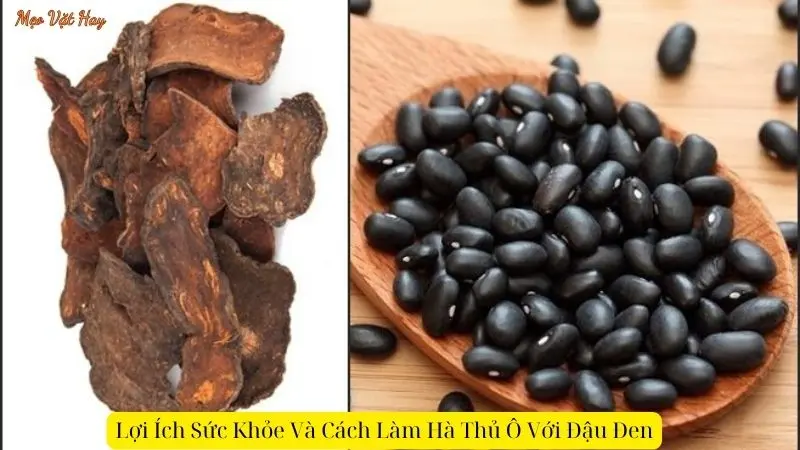 Lợi Ích Sức Khỏe Và Cách Làm Hà Thủ Ô Với Đậu Đen