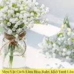 Mẹo Vặt Cách Làm Hoa Baby Khô Tươi Lâu