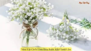 Mẹo Vặt Cách Làm Hoa Baby Khô Tươi Lâu